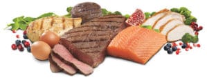 protein-rich-foods-peak-chiropractic